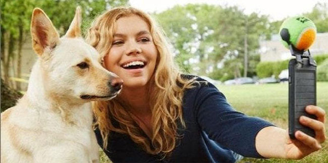 Picture 2 of New research finds the special ability of dogs
