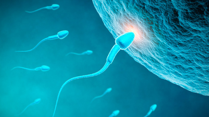 Picture 2 of New research on contraceptives for both men and women cures infertility in men