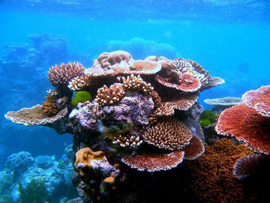 Picture 3 of New scientific mysteries are answered