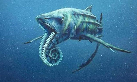 Picture 4 of New scientific mysteries are answered