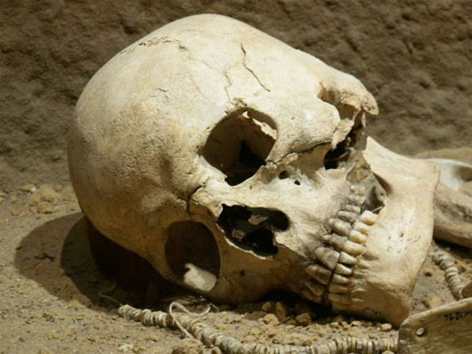Picture 5 of New scientific mysteries are answered