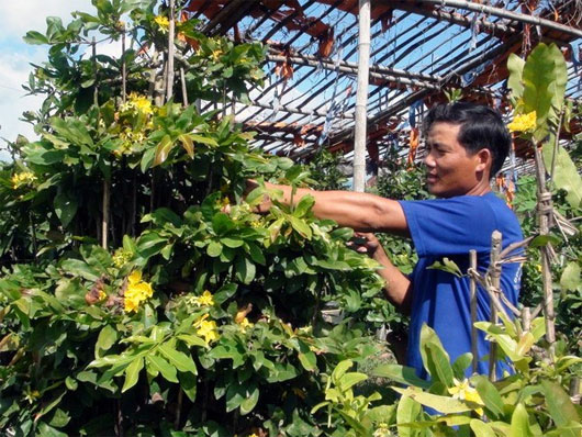 Picture 1 of New solutions bring joy to flower growers