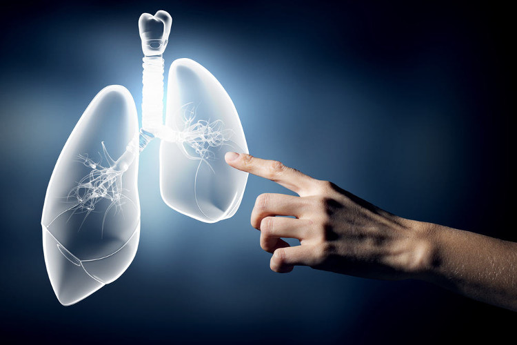 Picture 1 of New step in lung cancer surgery
