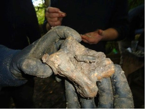 Picture 2 of New theory about the formation of Stonehenge