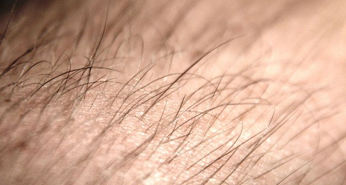 Picture 3 of New 'unbelievable' facts discovered about death