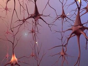 Picture 1 of New way to diagnose neurodegenerative diseases