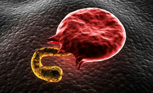 New way to kill malaria parasites images 1