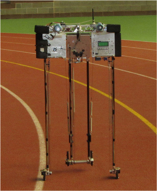 Picture 1 of New world record of walking for ... robots