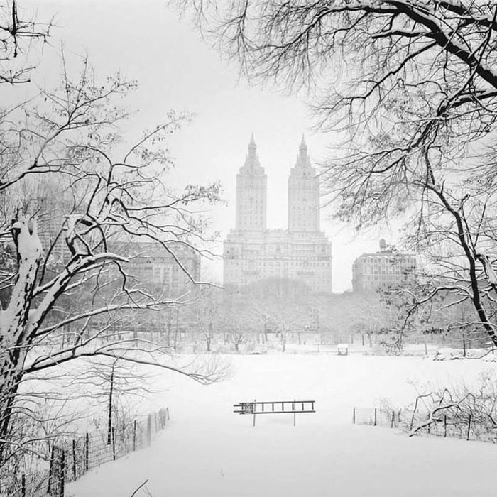 Picture 16 of New York is as beautiful as heaven in a historic snowstorm