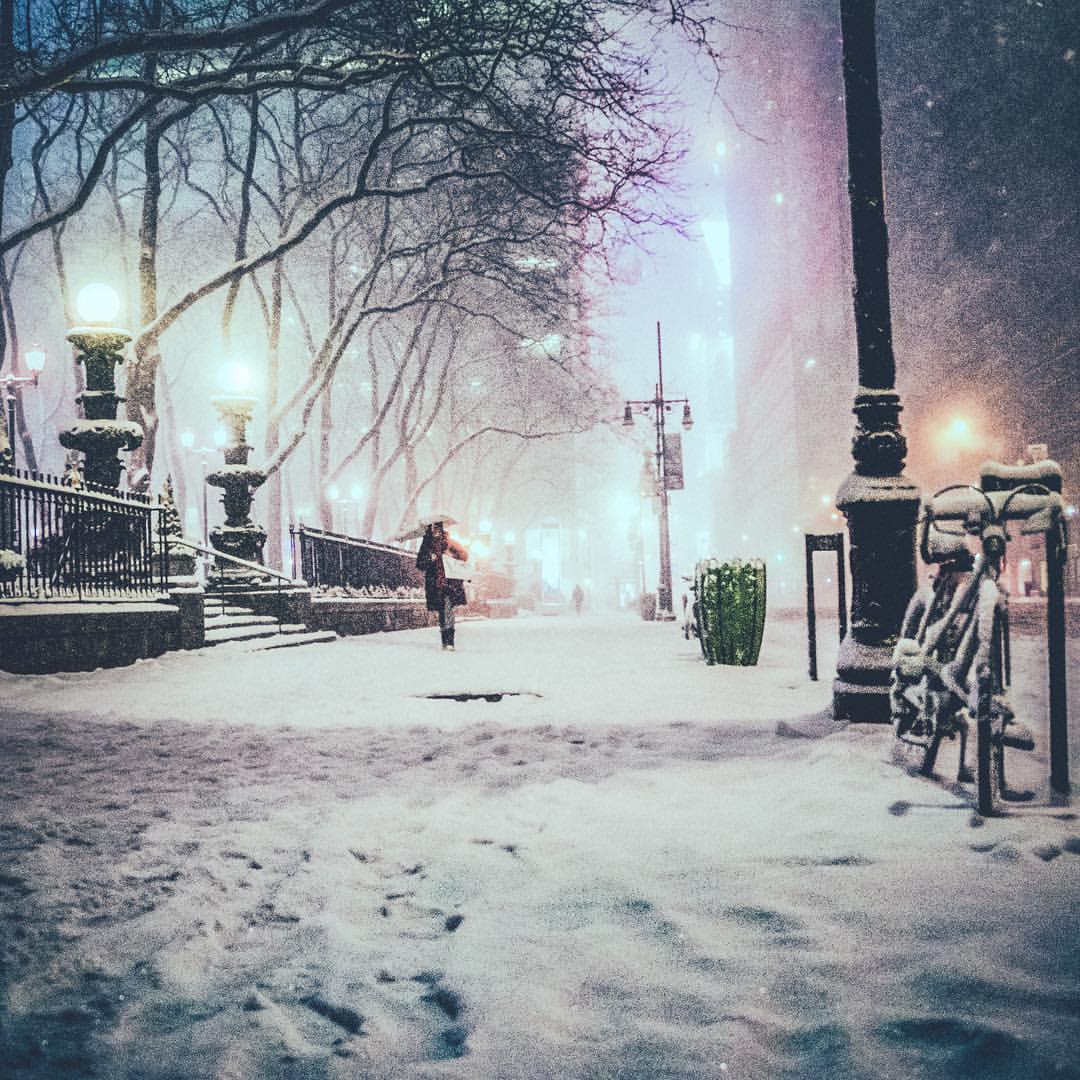 Picture 17 of New York is as beautiful as heaven in a historic snowstorm