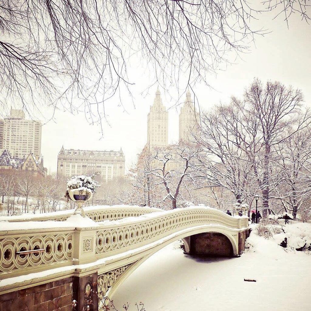 Picture 6 of New York is as beautiful as heaven in a historic snowstorm
