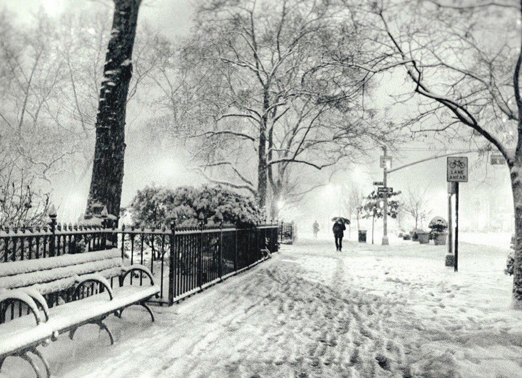 Picture 8 of New York is as beautiful as heaven in a historic snowstorm