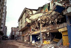 Picture 1 of New Zealand: 6 hours, 3 earthquakes