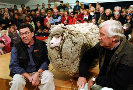 Picture 1 of New Zealand commemorates the star sheep