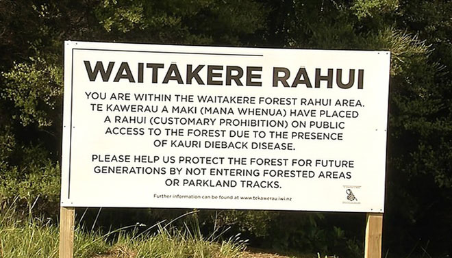 Picture 3 of New Zealanders have a great custom and meaning to protect nature
