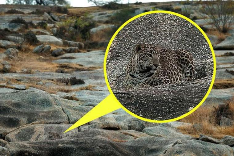 Picture 2 of Newspaper invisibility on stone beach