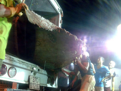 Picture 3 of Nghe An: Catch the giant Moon fish 400kg