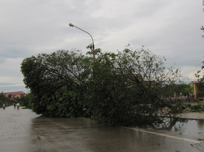 Picture 11 of Nghe An: Storm No. 3 causes great damage