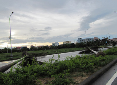 Picture 14 of Nghe An: Storm No. 3 causes great damage