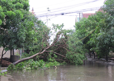Picture 15 of Nghe An: Storm No. 3 causes great damage