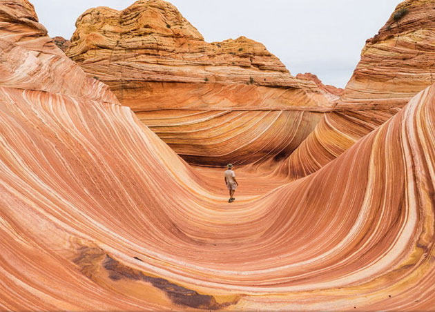 Picture 10 of Nice photos of National Geographic Photo Contest 2014