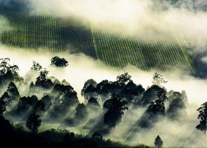 Picture 12 of Nice photos of National Geographic Photo Contest 2014