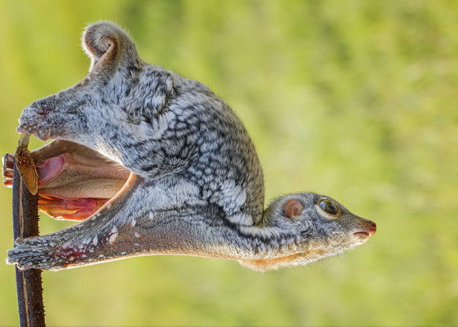 Picture 13 of Nice photos of National Geographic Photo Contest 2014