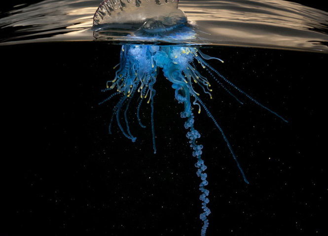 Picture 14 of Nice photos of National Geographic Photo Contest 2014
