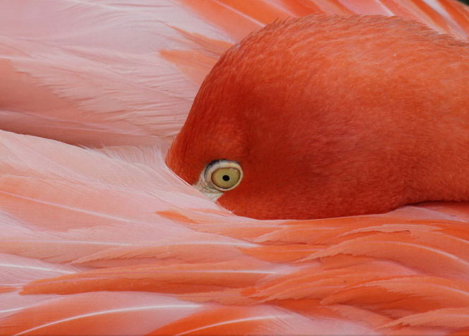 Picture 15 of Nice photos of National Geographic Photo Contest 2014