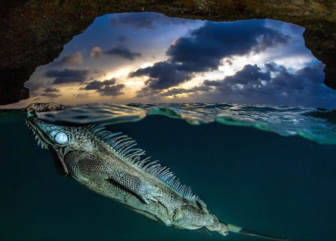 Picture 16 of Nice photos of National Geographic Photo Contest 2014