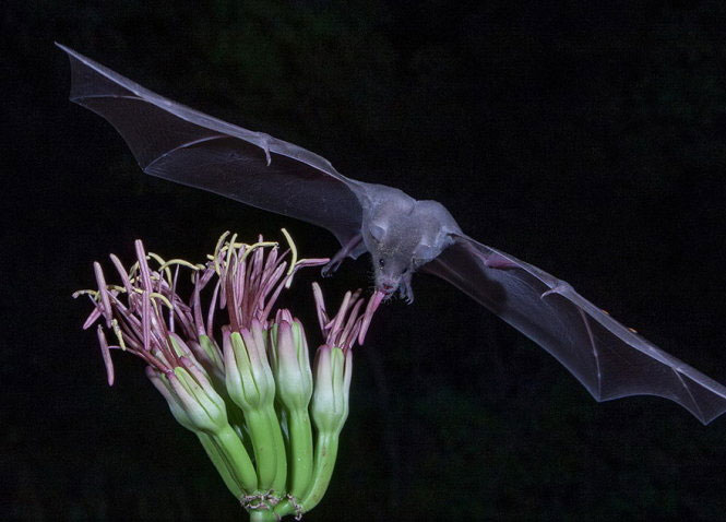 Picture 19 of Nice photos of National Geographic Photo Contest 2014