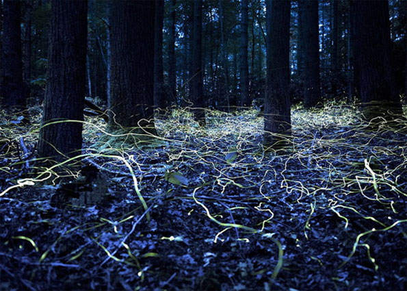 Picture 20 of Nice photos of National Geographic Photo Contest 2014