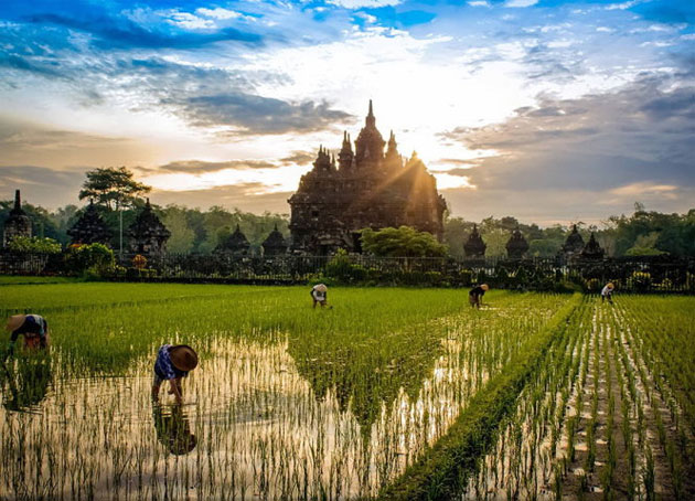 Picture 6 of Nice photos of National Geographic Photo Contest 2014