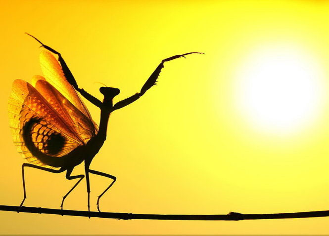 Picture 7 of Nice photos of National Geographic Photo Contest 2014