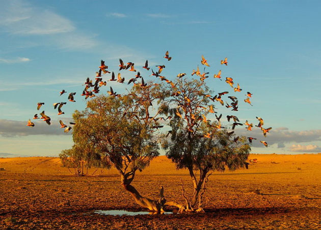 Picture 8 of Nice photos of National Geographic Photo Contest 2014