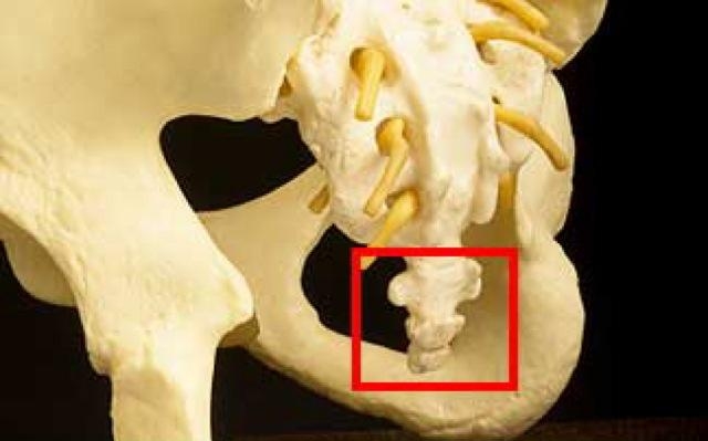 Picture 3 of No body parts are okay