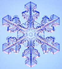 Picture 2 of No two snowflakes are the same