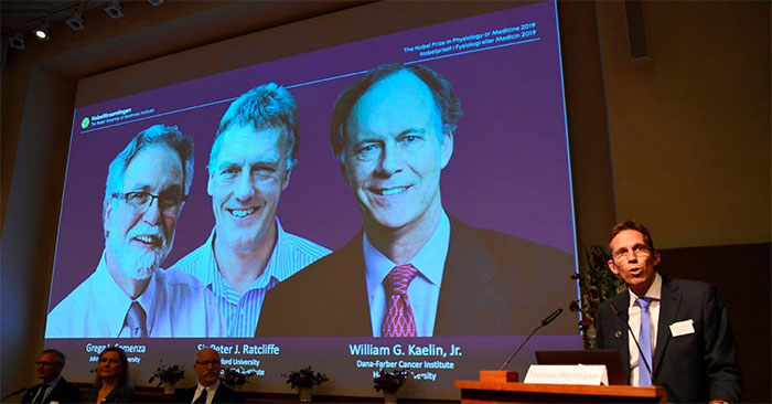 Picture 2 of Nobel Prize in Biomedical 2019 for studying cell response when oxygen changes