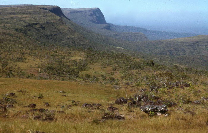 Picture 2 of Noel Kempff Mercado National Park