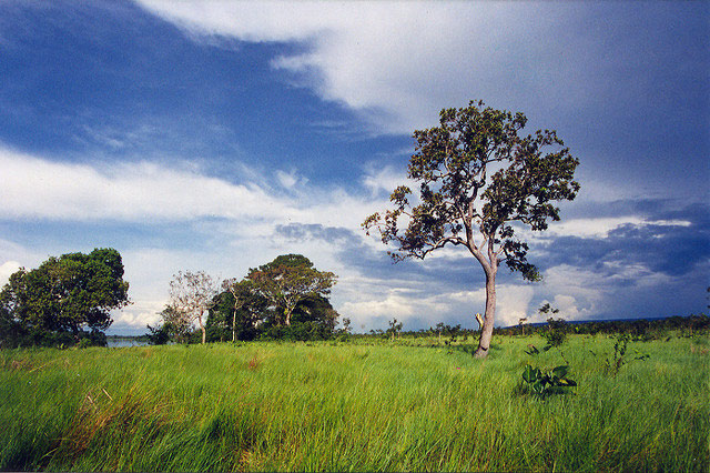 Picture 3 of Noel Kempff Mercado National Park