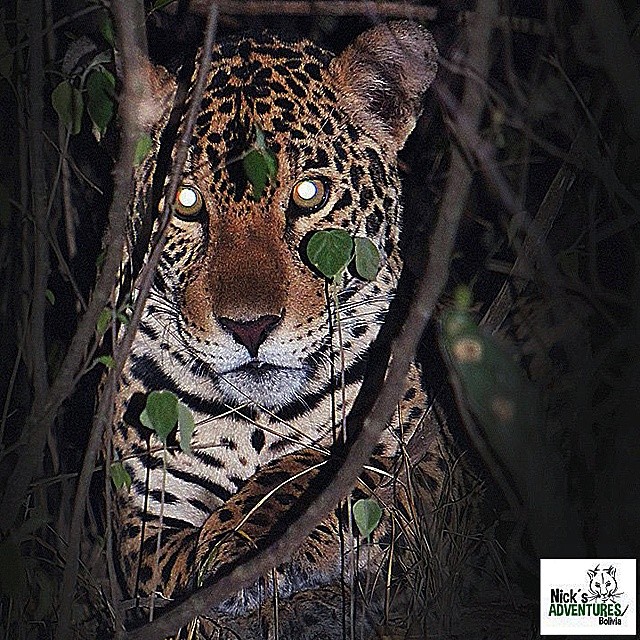 Picture 7 of Noel Kempff Mercado National Park