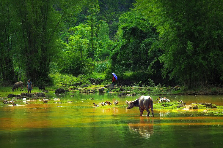 Picture 7 of Non Nuoc Cao Bang is as beautiful as picturesque through NAG lenses