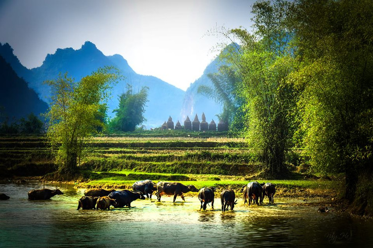 Picture 8 of Non Nuoc Cao Bang is as beautiful as picturesque through NAG lenses
