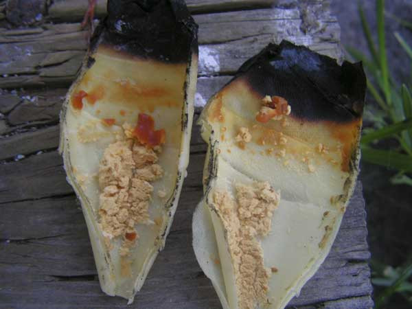 Picture 3 of Not a cotton swab, people can also take candle wax