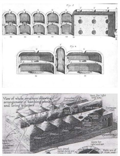 Picture 3 of Not the pyramid, this is the most valuable work that the ancient Egyptians left for posterity