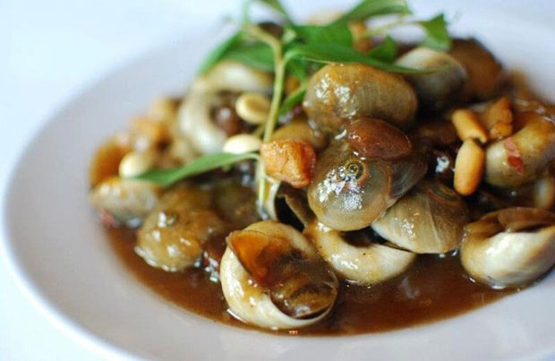 Picture 3 of Note when eating snails to avoid processions into the body