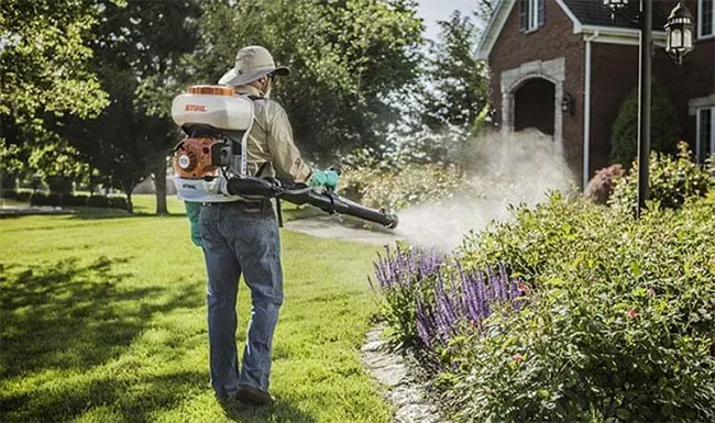 Picture 4 of Notes when spraying insecticide to kill dengue