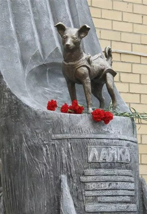 Picture 4 of November 3, 1957 - Laika, the first dog to fly to space