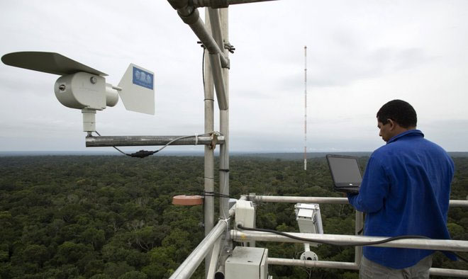 Picture 7 of Observation tower towering in the middle of the Amazon forest