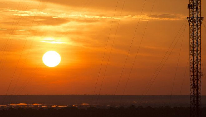 Picture 9 of Observation tower towering in the middle of the Amazon forest